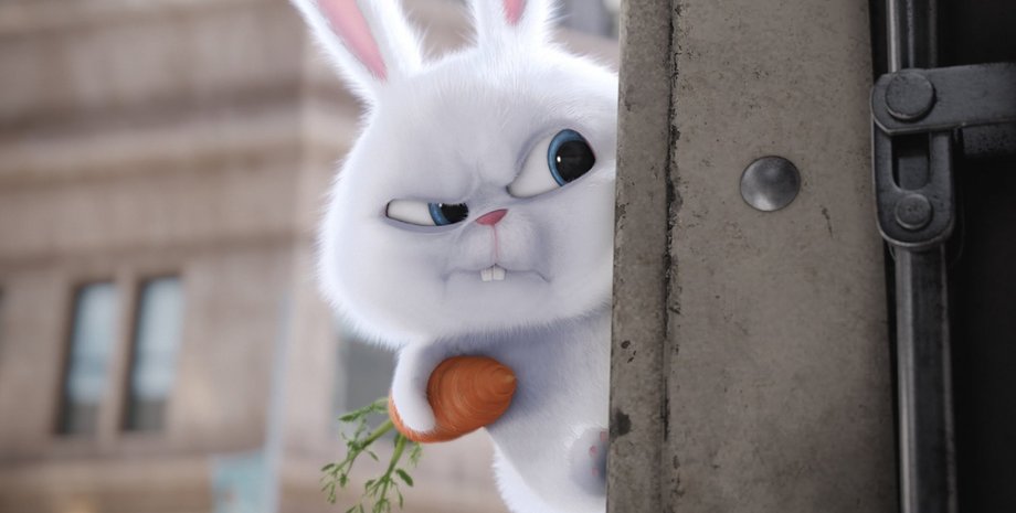 Кадр и фильма