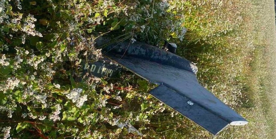 Російський дрон Гербера