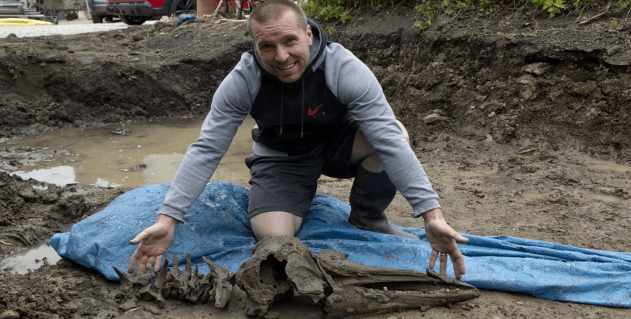 Мужчина нашел скелет дельфина, скелет, останки, кости дельфина, 8 тысяч лет, археологи, копал бассейн, находкой всей жизни