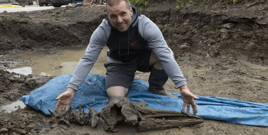 Чоловік знайшов скелет дельфіна, скелет, решки, кістки дельфіна, 8 тисяч років, археологи, копав басейн, знахідкою всього життя