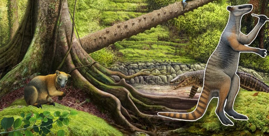 древний кенгуру