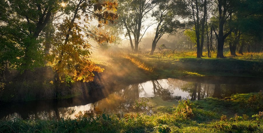 Фото: Александр Киценко, Photonature.org