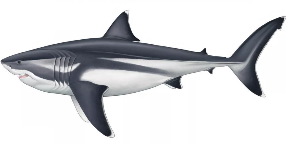 Иллюстрация: Oliver E. Demuth