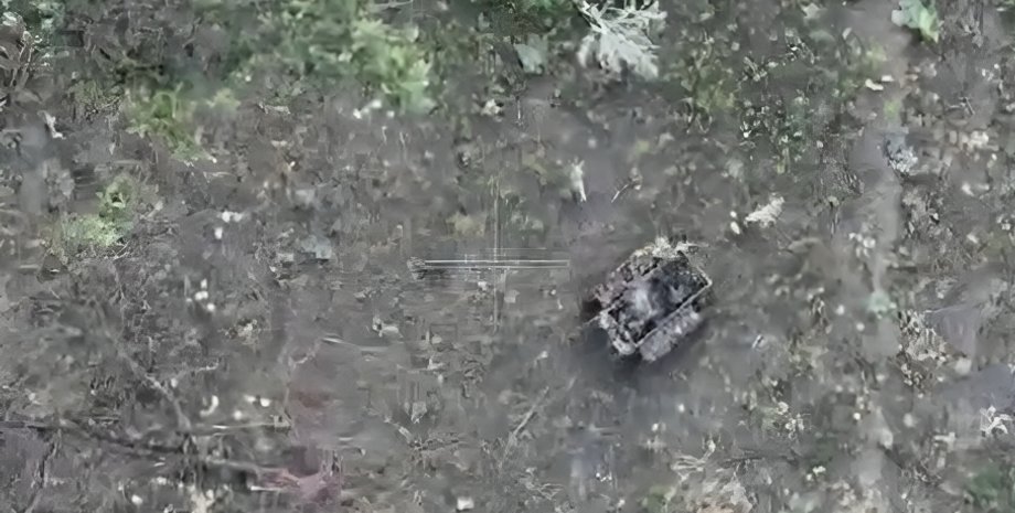 Наземний дрон ЗС РФ, війна, Україна, фото