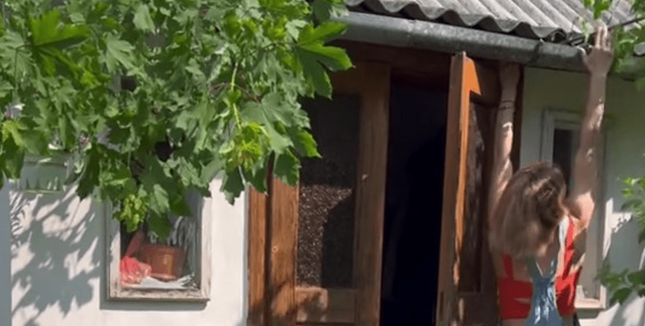 Катерина купила будинок в селі Будинок в селі