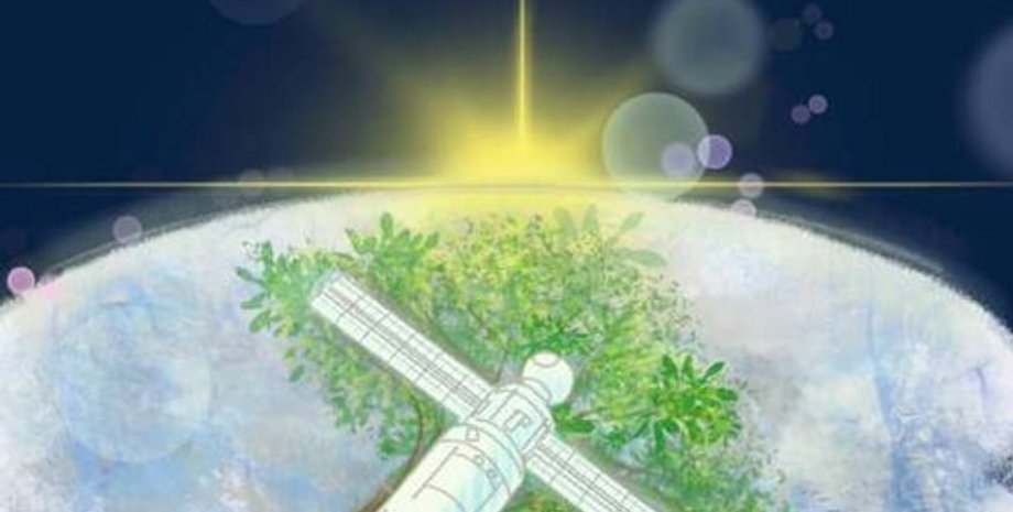 деревянный спутник, LignoSat, Япония