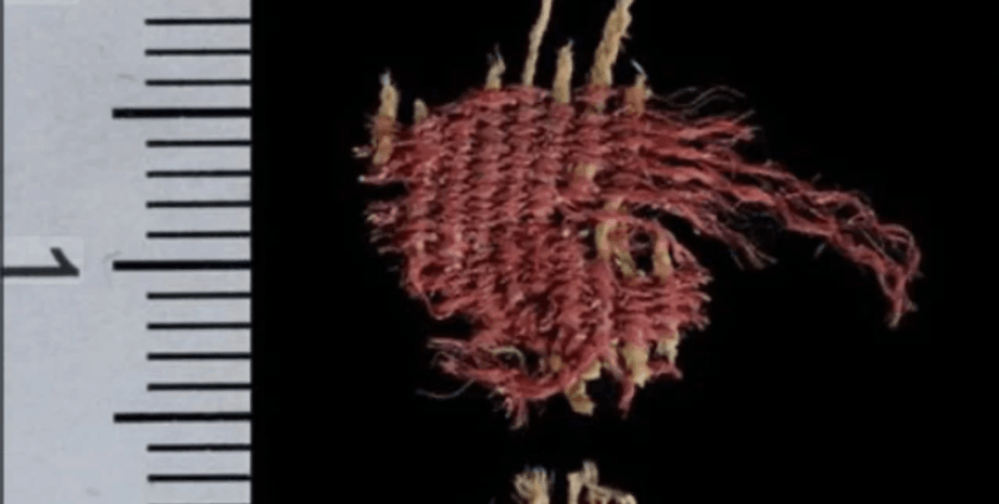 краситель, кермес, реликвия, артефакт, археология, археологи, раскопки, находка, ткань, текстиль, паразит, Израиль, насекомое, метод, исследование