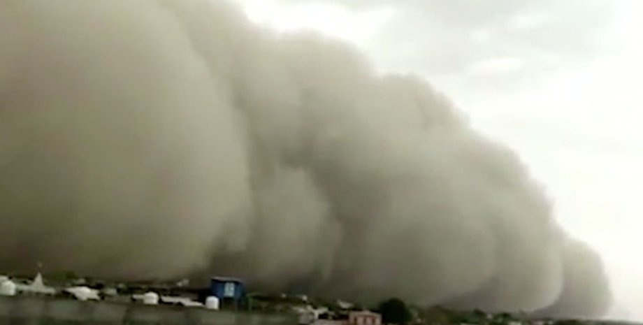 Фото: Скриншот