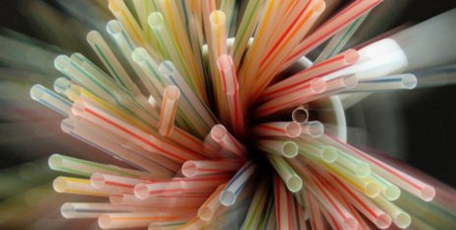 Фото: pixabay.com