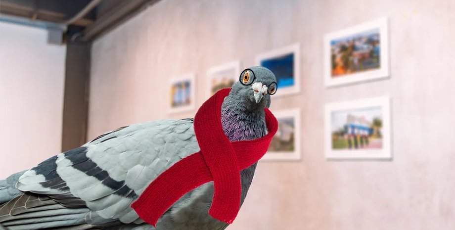 голуби, голуби живопис, голуби мистецтво, голуби картина