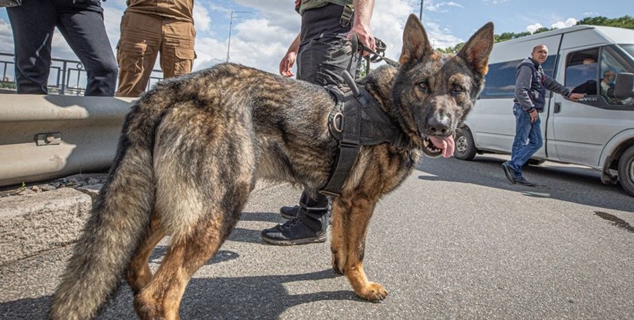 Фото: facebook.com/artem.shevchenko.9