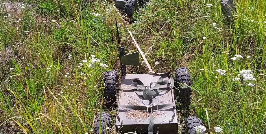 мангал, дрон, беспилотник