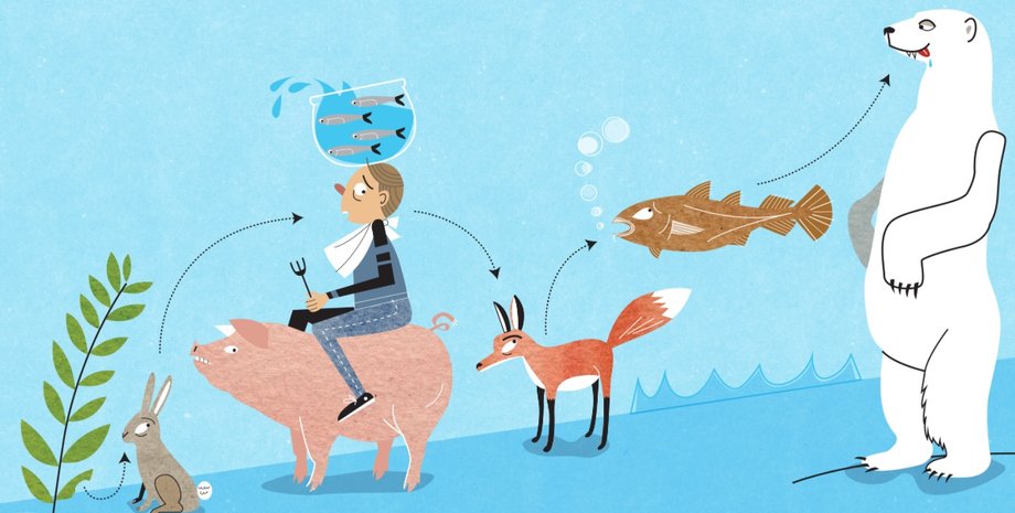 пищевая цепочка