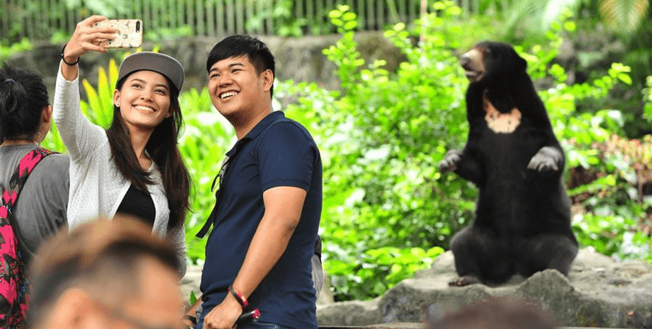 Люди в зоопарке, посетителю зоопарка, мужчина боится животных, селфи с медведем, медведь в зоопарке, опасные животные,