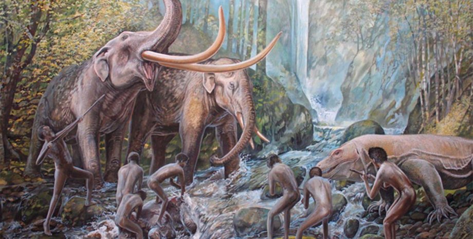 гобиты, происхождение, гоминины, история, течение, гнездо, предок, рассказ, существо, карлик, вымерший вид, эволюция, исследования, антропология, археология, Австралия, Homo floresiensis, Homo erectus, обезьяны, дерево