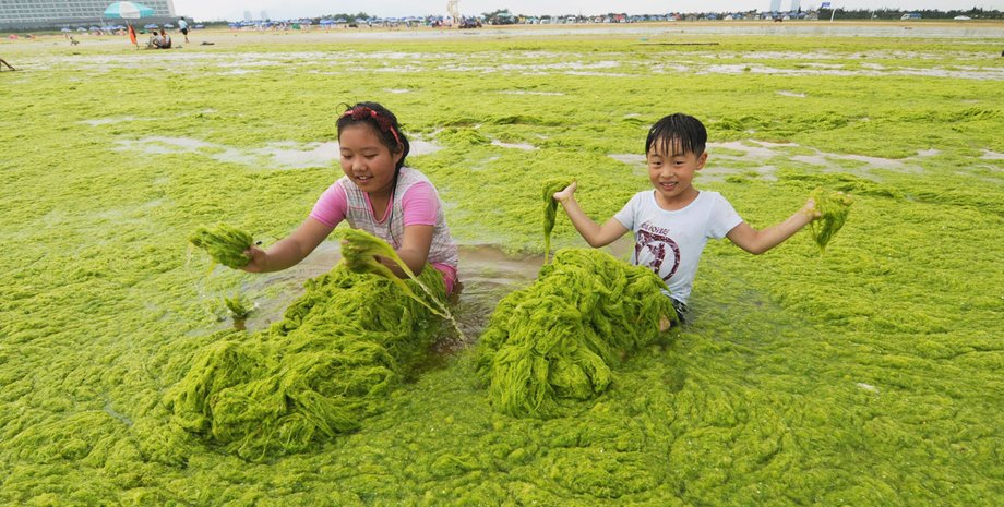 Фото: Getty Images
