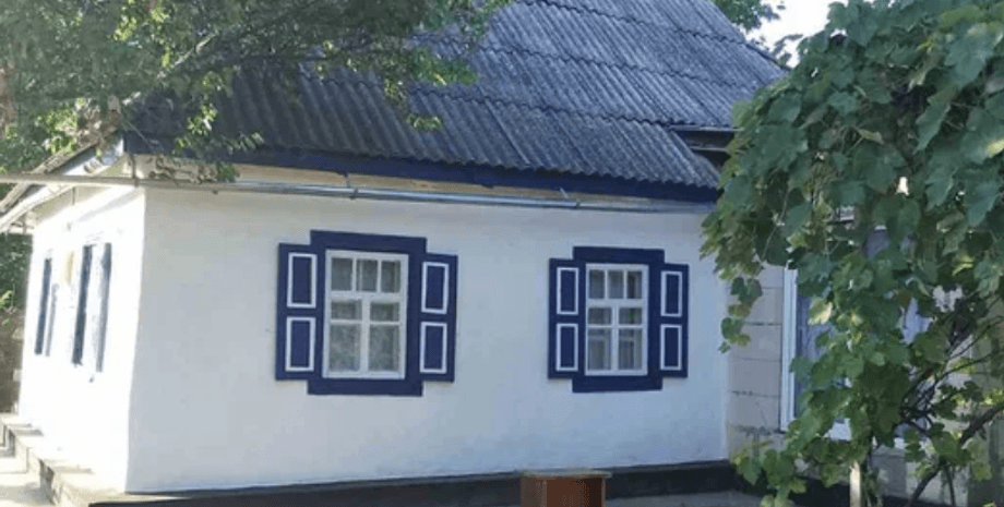 Хата в селі з виноградом