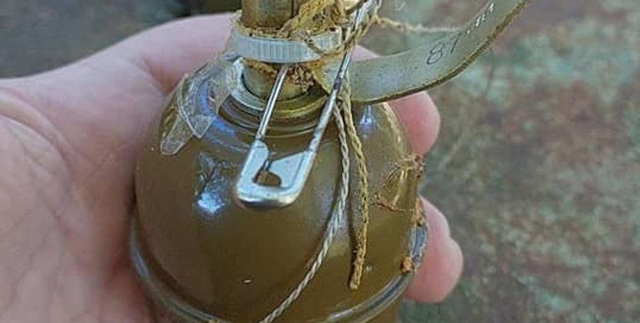 мина улей, киевская область, минирование, пчелы