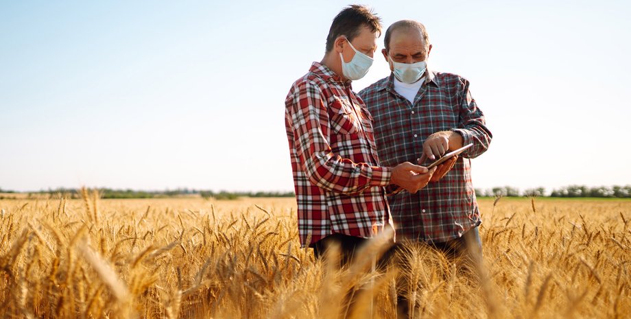 аграрії, аграрний бізнес в Україні, доходи агробізнес, заробіток в агросфері