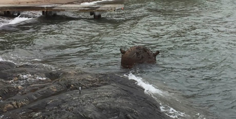 Мина у берегов Швеции / Фото: Försvarsmakten