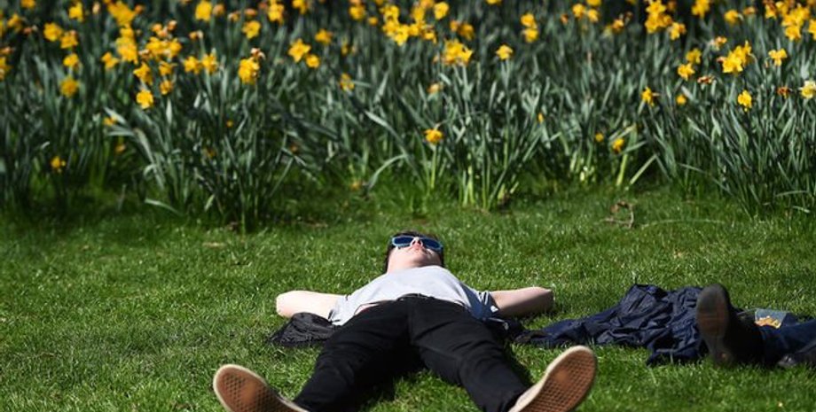 Иллюстративное фото