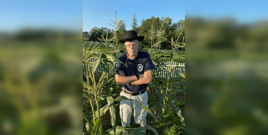 Стивен Кинг, Кинг