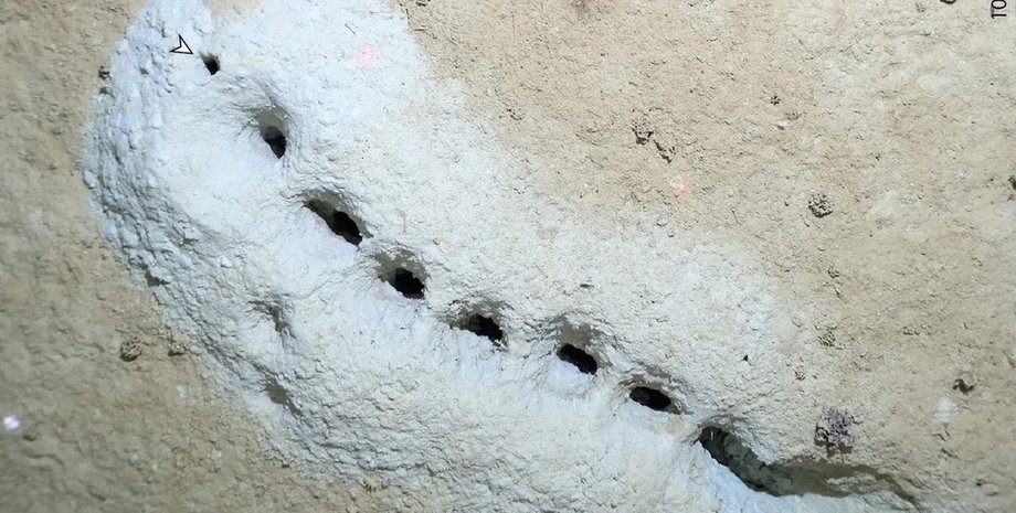 морське дно, печери