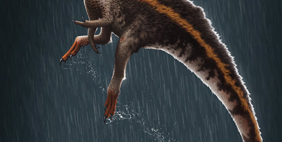 динозавры, Бразилия, шипы