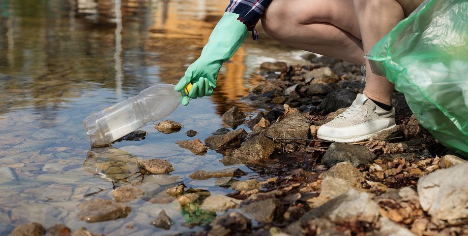 Фото: nastya_gepp/Pixabay