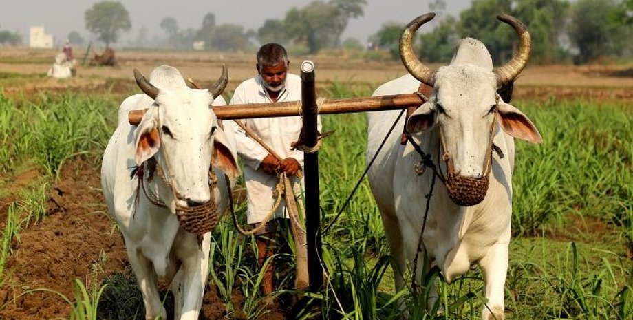 люди, геном людей, люди гены