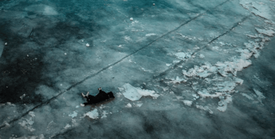 чернигов, собака, смерть, подростки, волонтеры, полиция