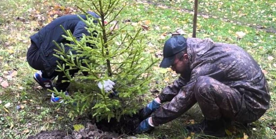 Фото из открытых источников