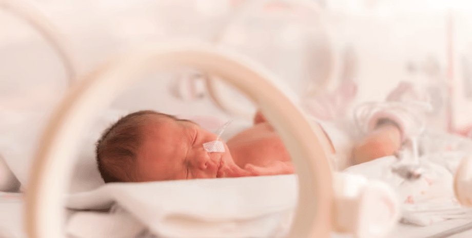 Сколько человек родилось в Украине, демография Украины, смертность Украины