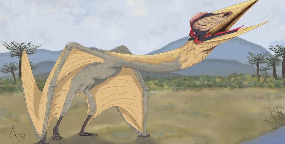 "дракон смерті", малюнок, фото