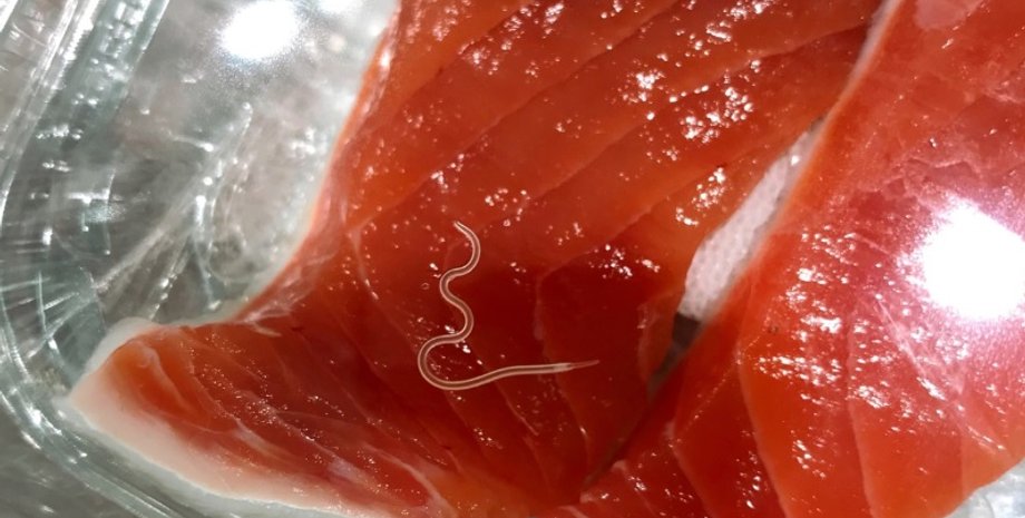 Фото: Togabi/C.C. 1.0