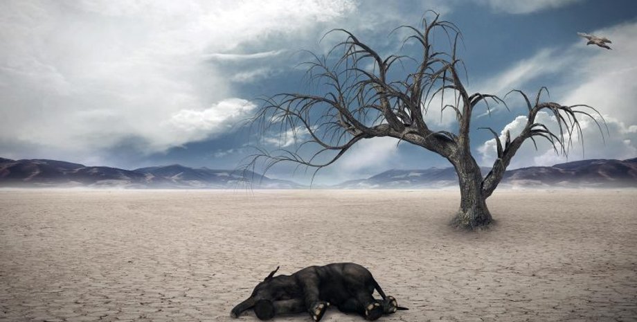 животные, вымирание животных, массовое вымирание