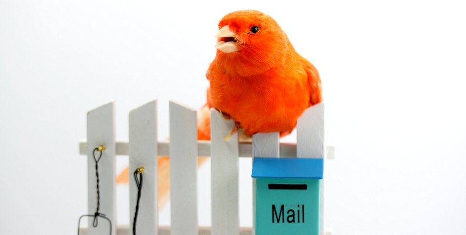 Revue Publisher, Twitter, блоги, монетизация, рассылка новостей, соцсети