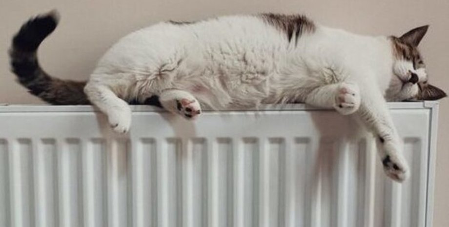 Фото: objectiv.tv