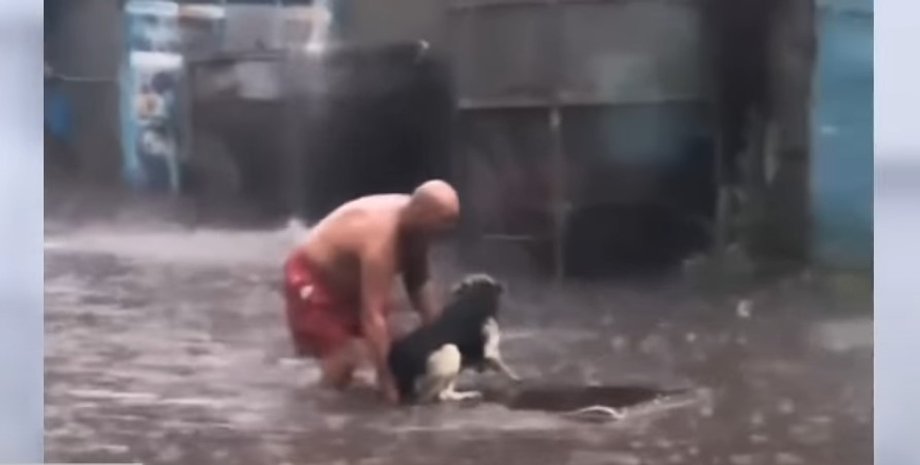 охранник, собака, спасение,