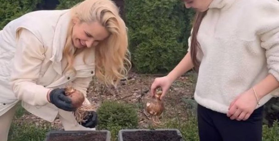 ребрик, дочка Лілі Ребрик