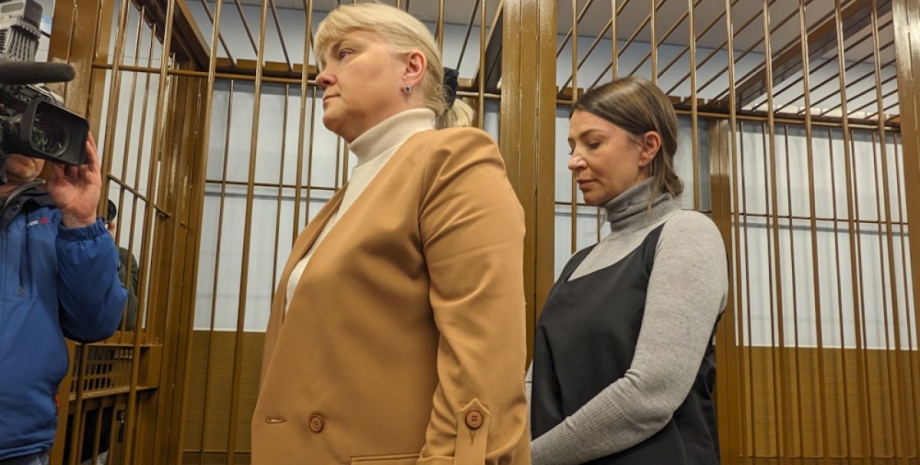Олена Бліновська суд єлена блиновська, російський блогер, хто така блиновська