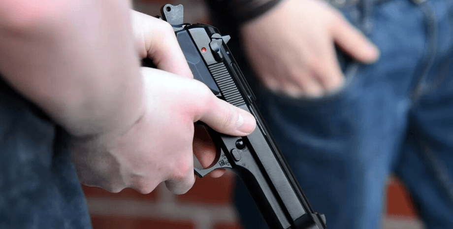 Зброя, Литва, росіяни, білоруси, територіальна оборона, поправки