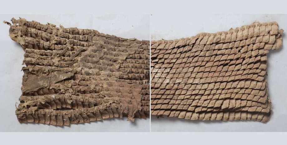 броня, кожа, снимок