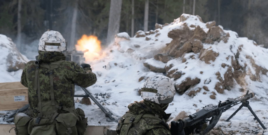 Солдаты армии Эстонии