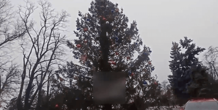 ялинка Маріуполь, різдвяна ялинка, новорічна ялинка