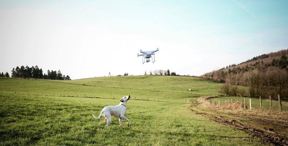 дрон, безпілотник