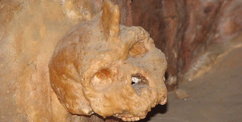 Учені датували загадковий череп із рогом: скільки років йому насправді0