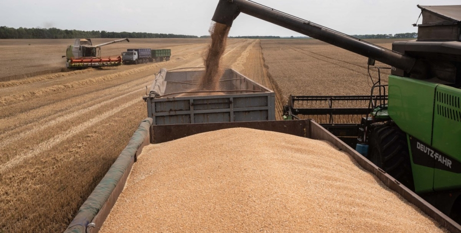 Украинское зерно Украина, Евросоюз, зерно, фото