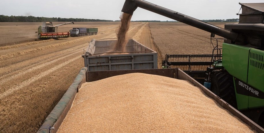 Україна, Євросоюз, зерно, фото