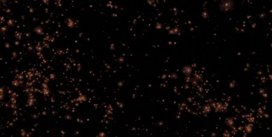 Ранняя Вселенная